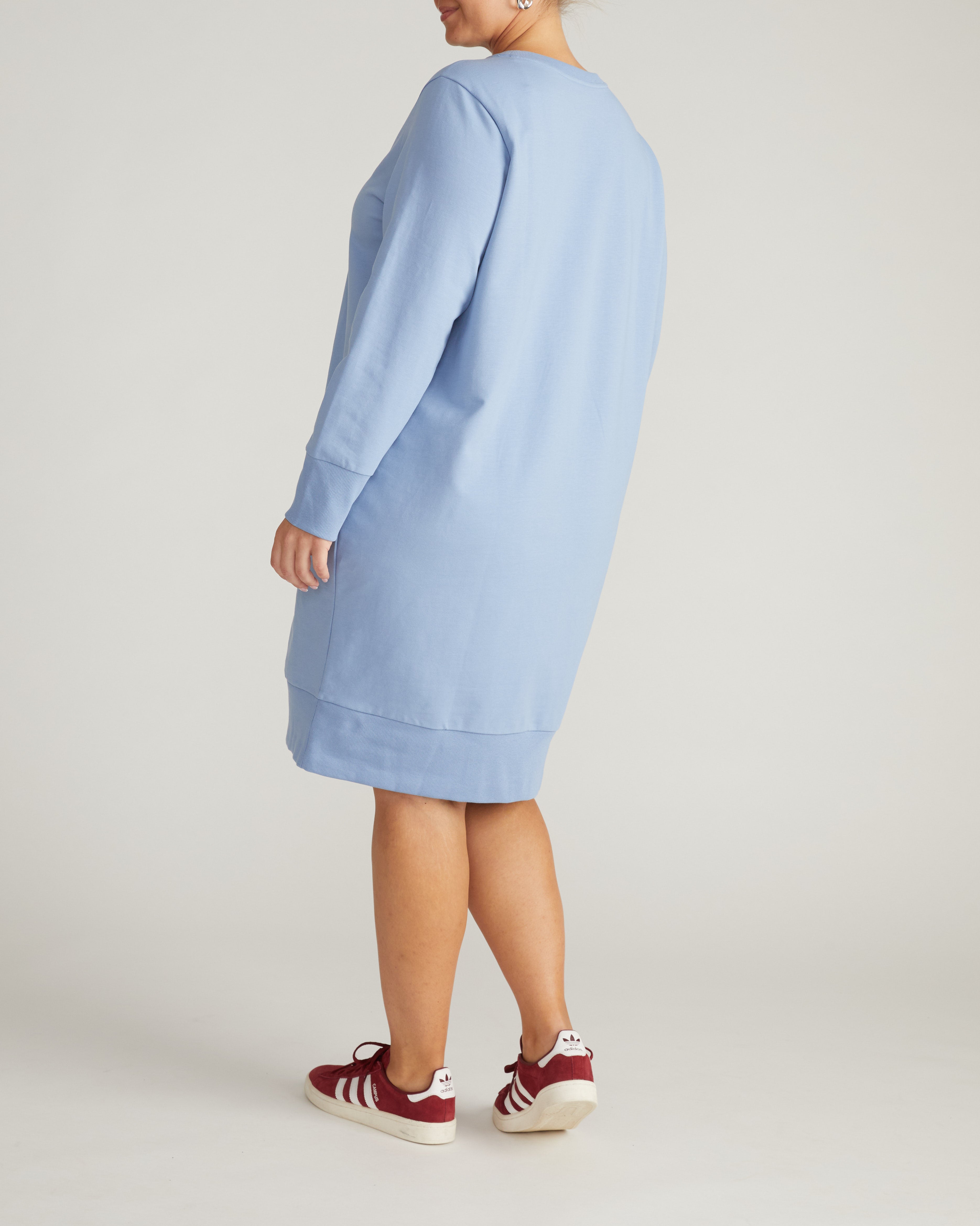 Bree Sweatshirt Dress - Graceful Blue
